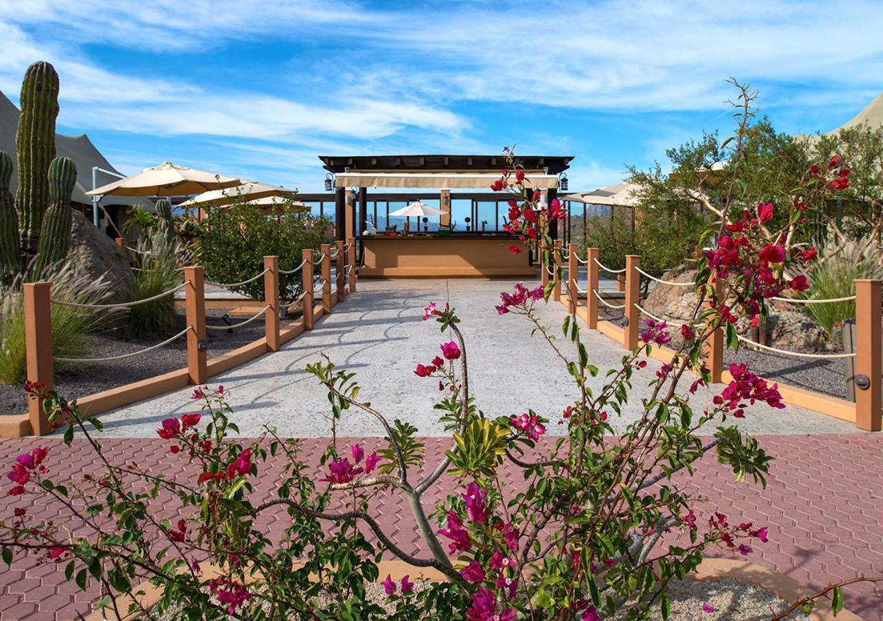 Villa Del Palmar At The Islands Of Loreto Loreto  Ngoại thất bức ảnh